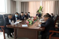 新蒲建設集團董事局子公司月度會議順利召開